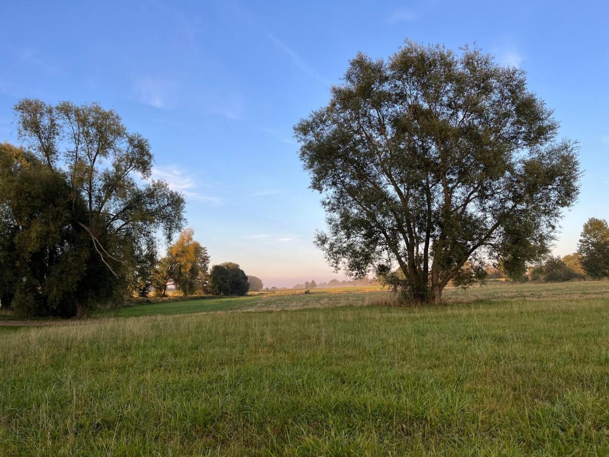 Kasztanowka - Na Podlasiu,