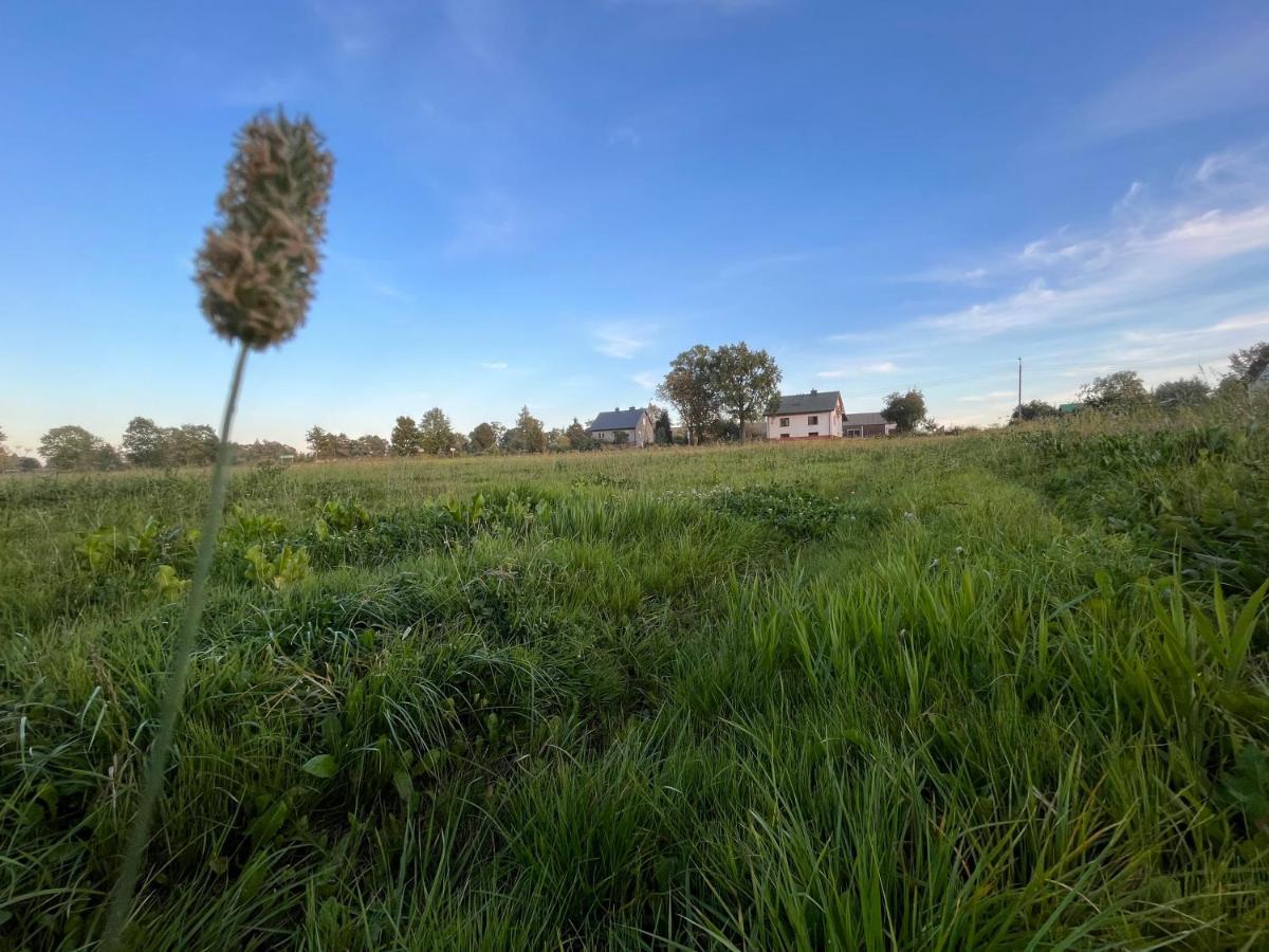 Kasztanowka - Na Podlasiu,